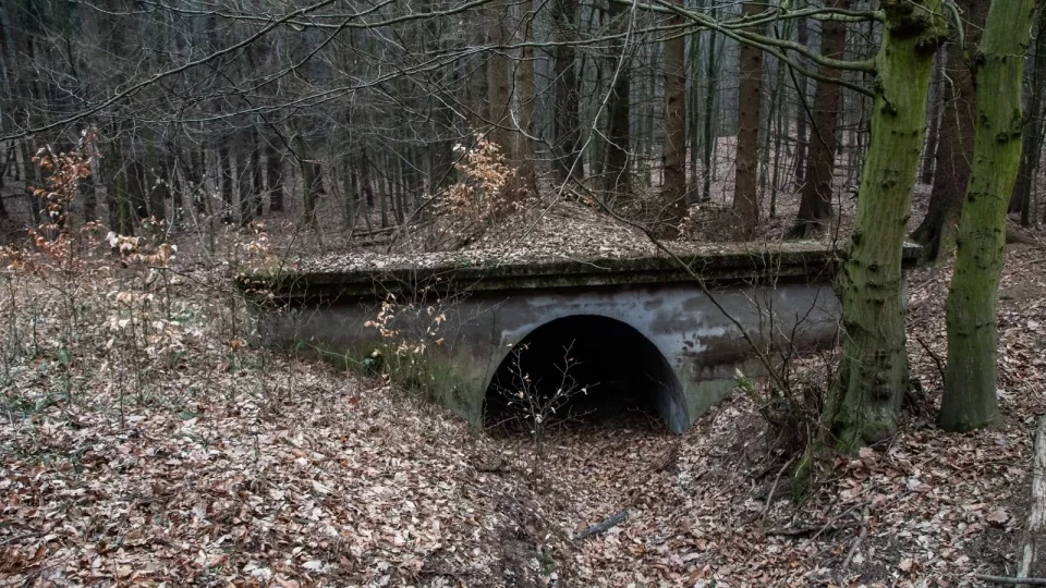 Subaru trip, Baťa, Bunč