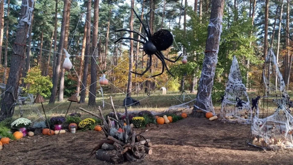 Botanická zahrada