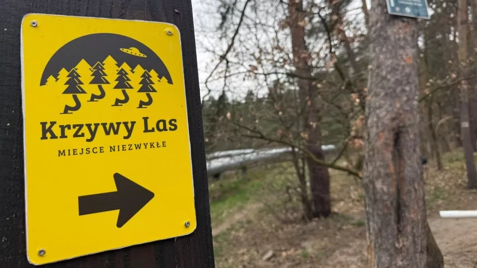 Křivý les a Hoia Baciu