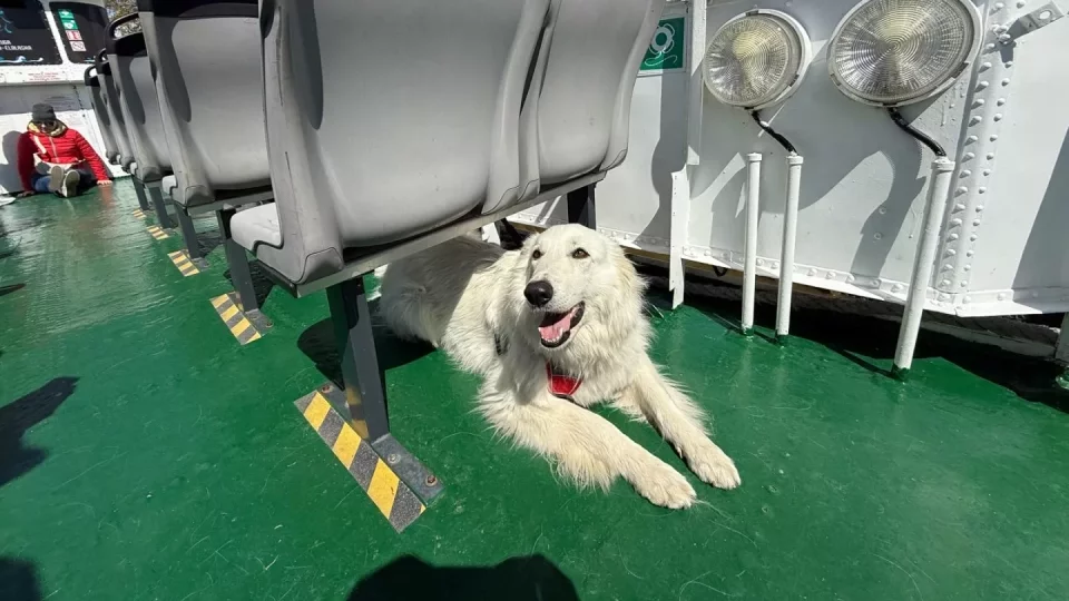 Fotr na tripu 9, Elbląžský kanál