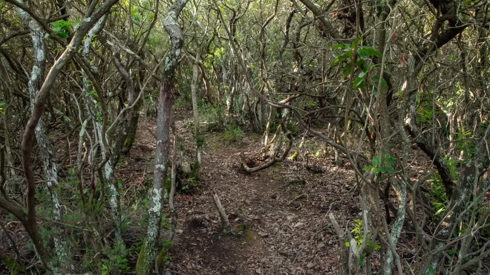 Dacia Bigster, trip Itálie, Cagliari
