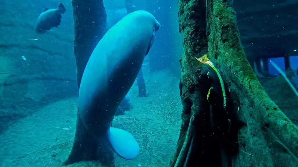 Norimberk: FunPark a museum vlaků