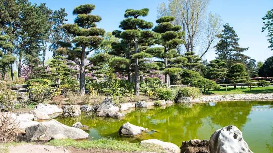 Ford trip, Little Tokyo