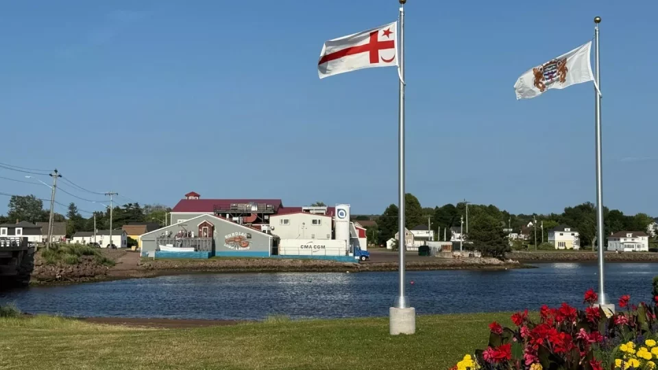 Fotr na tripu 10, autokino