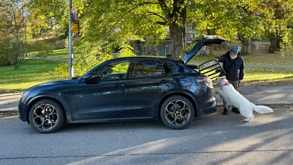 Fotr ve Finsku, design