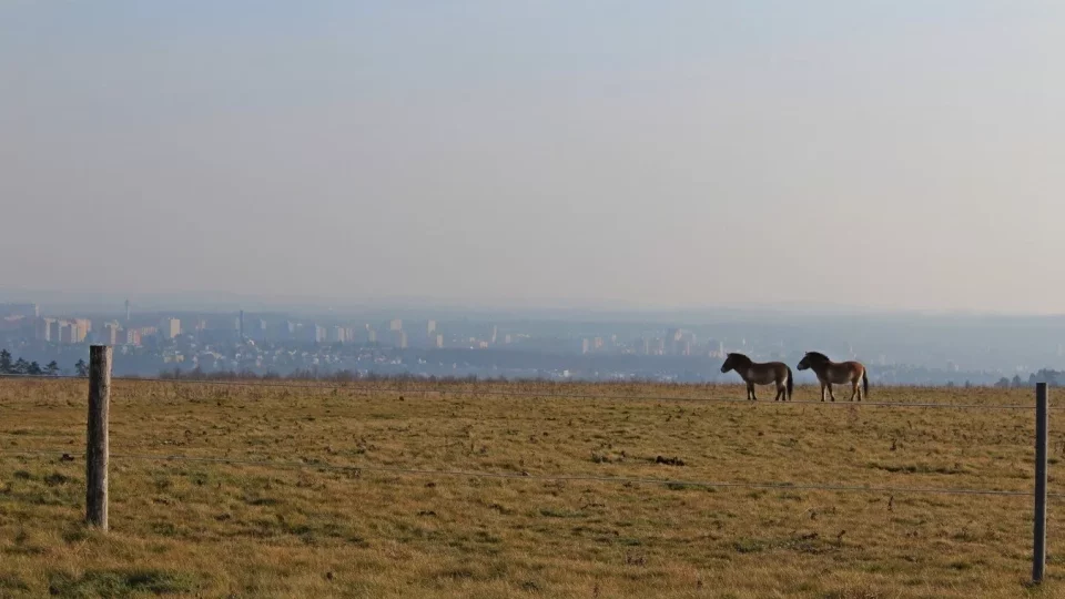 Procházka v Prokopáku