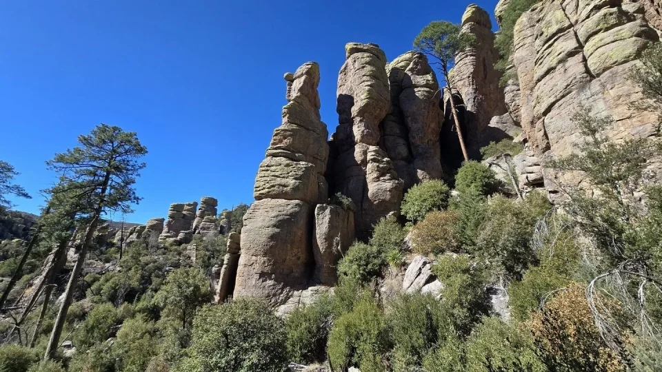 Chiricahua
