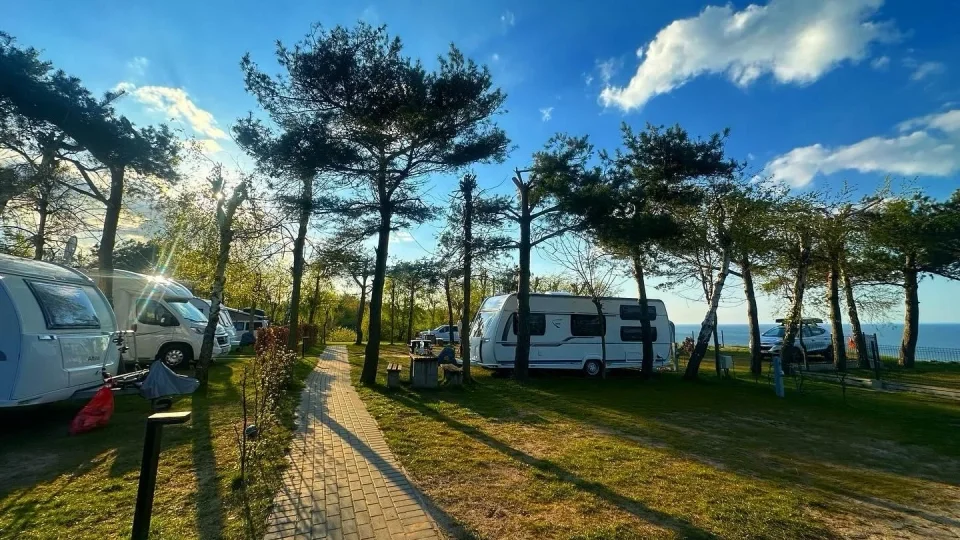 Alexa Camping