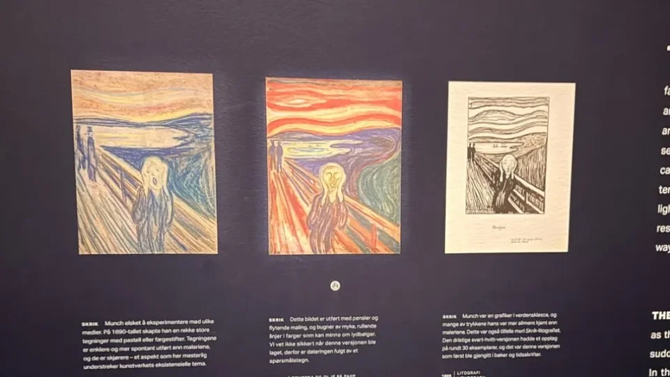 Fotr na tripu 11, Oslo, galerie
