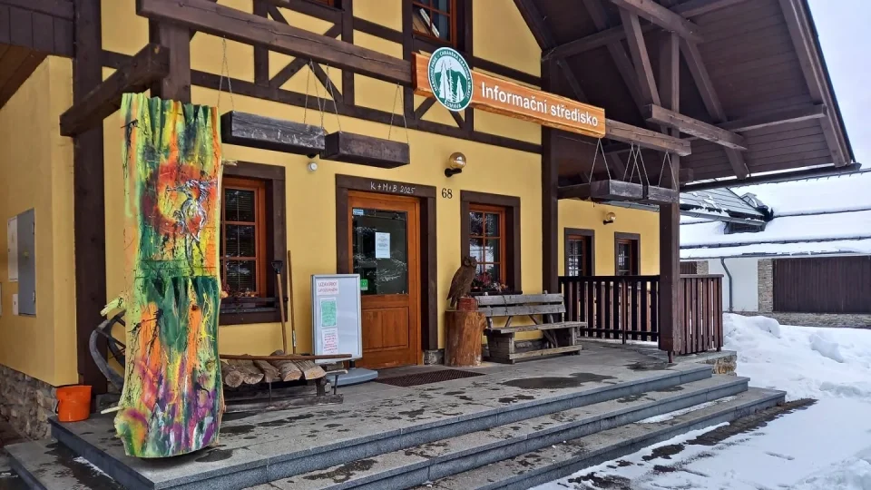 Zimní Šumava
