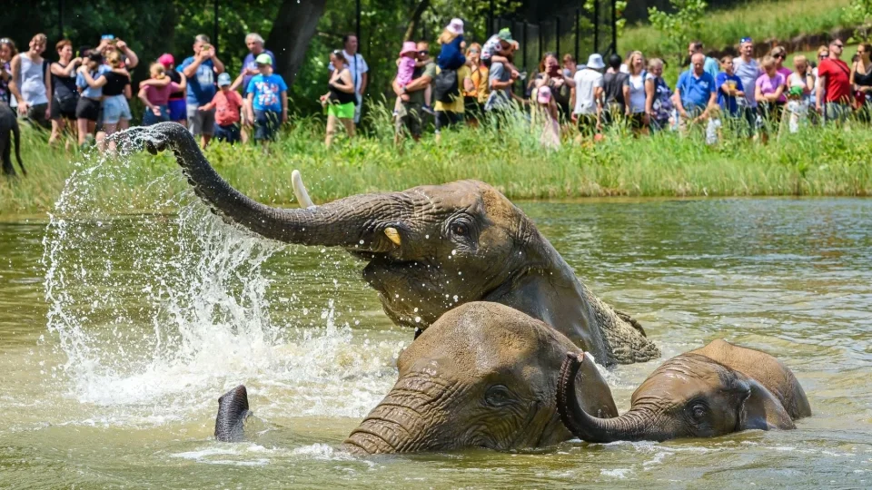 Zoo Zlín