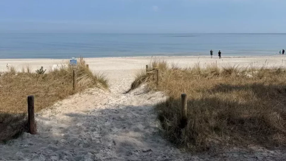 Fotr na tripu 9, Rujána