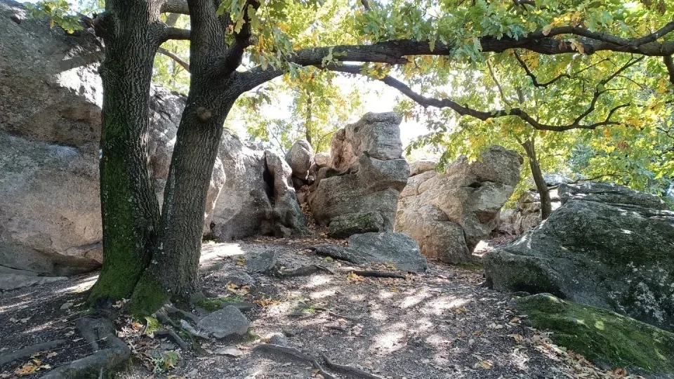 Balaton na gravelu