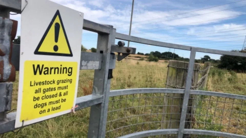 Hikerské dobrodružství v Británii 8