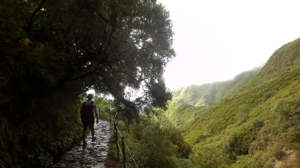 Madeira, 3. díl
