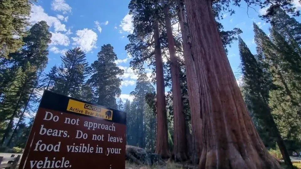 Kalifornský národní park Sequoia