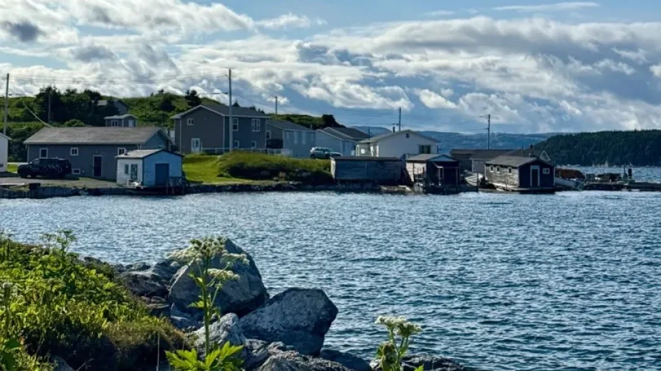 Fotr na tripu 10, Newfoundland