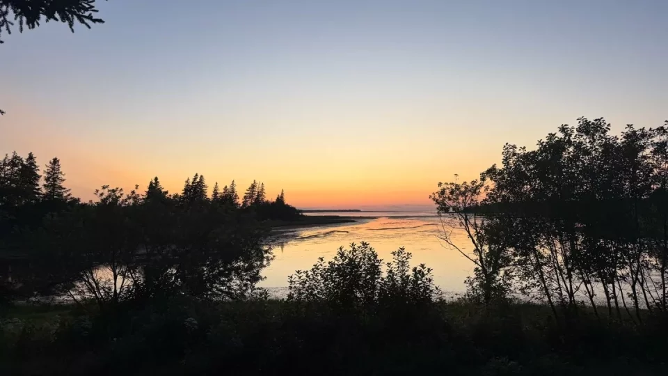 Fotr na tripu 10, autokino