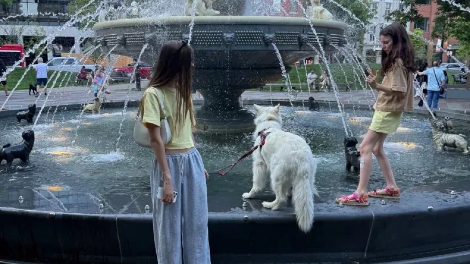 Fotr na tripu 10, psí fontána