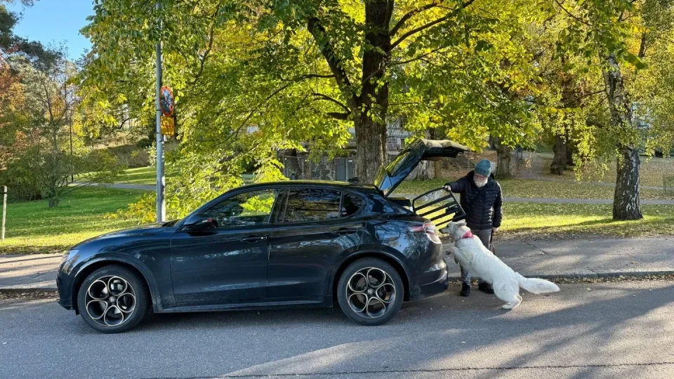 Fotr ve Finsku, design