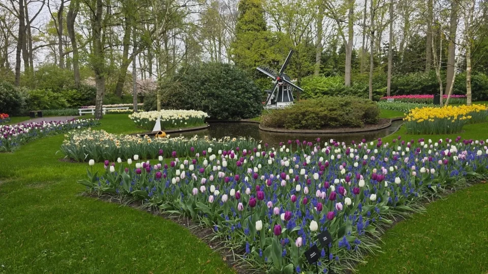 Keukenhof