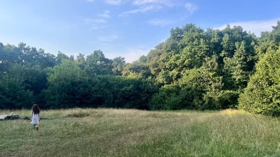 Křivý les a Hoia Baciu