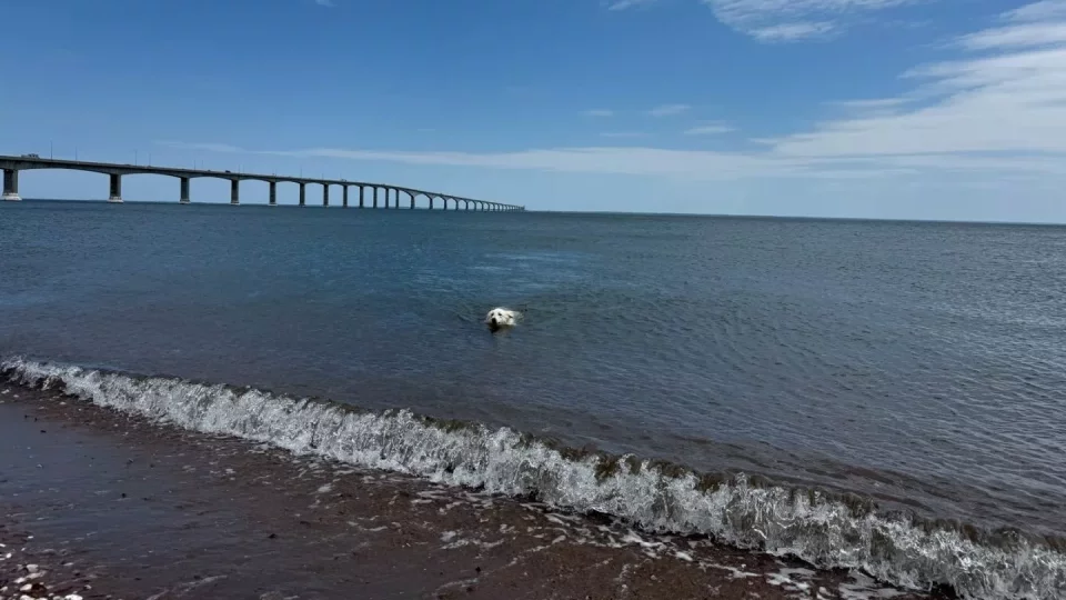 Fotr na tripu 10, Ostrov prince Edwarda