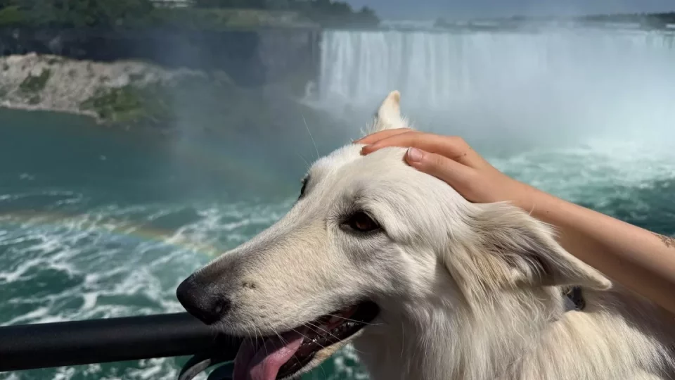 Fotr na tripu 10, Niagarské vodopády