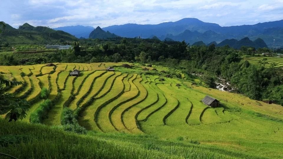 Vietnam