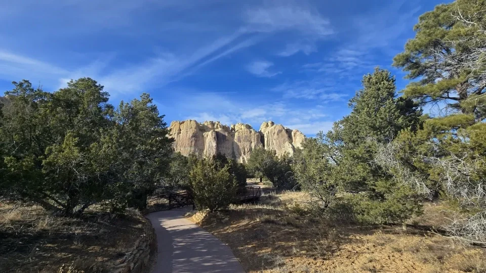 Gallup