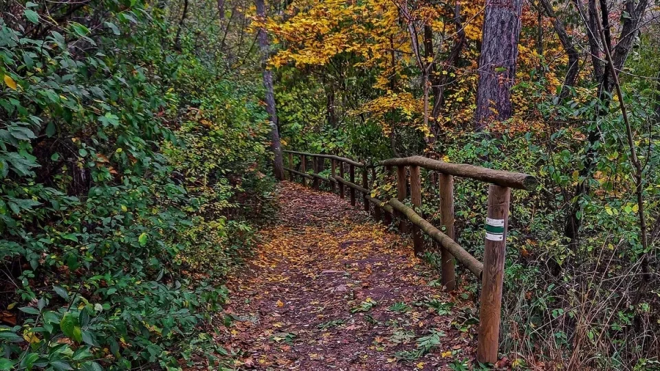 Procházka v Prokopáku