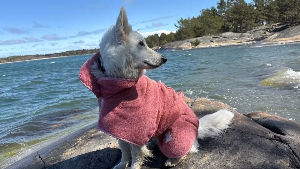 Fotr na tripu 9, Alandy