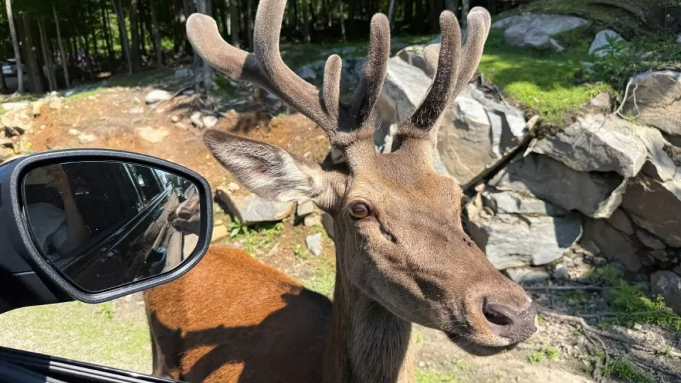 Fotr na tripu 10, Parc Omega