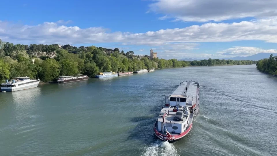 Avignon