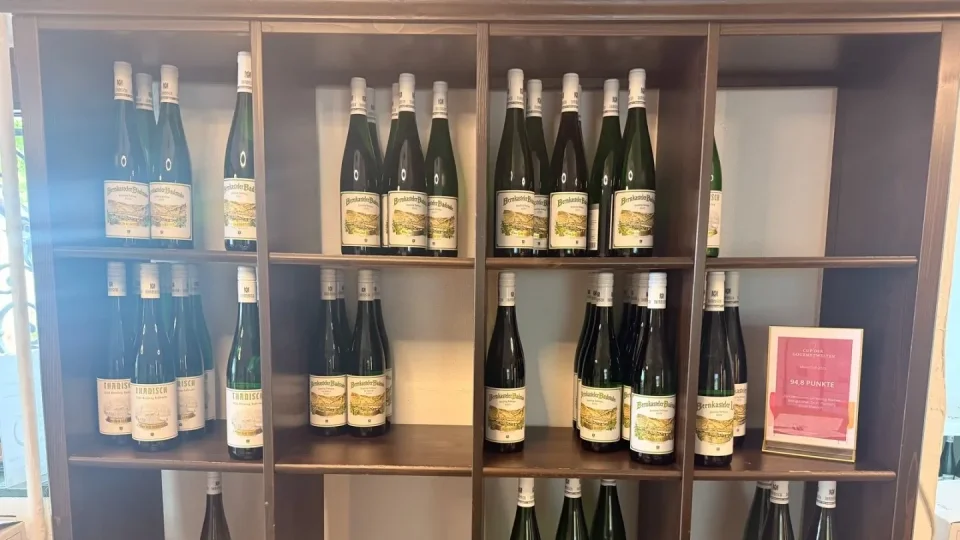 Fotr na tripu 11, Bernkastel-Kues a okolí