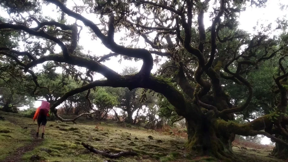 Madeira 4. díl