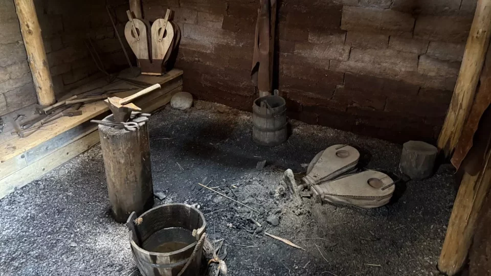 Fotr na tripu 10, vikingové