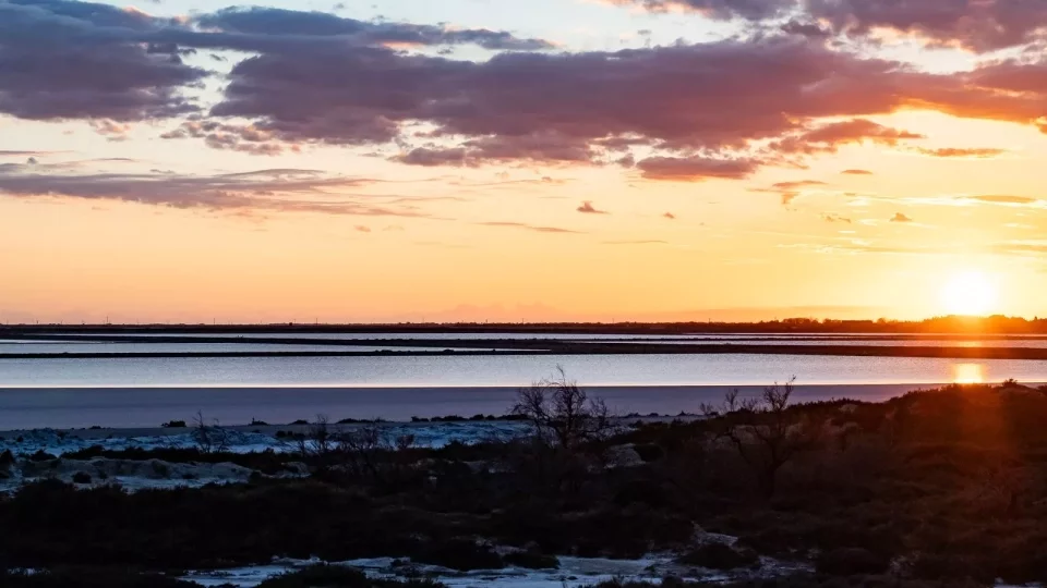 Ford trip, Camargue