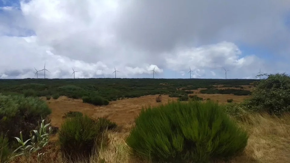 Madeira, 3. díl
