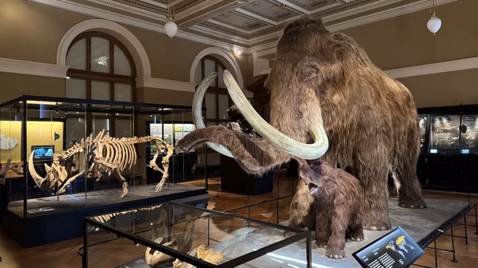 Národní muzeum Praha