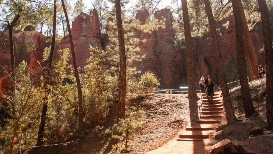 Ford trip, Roussillon