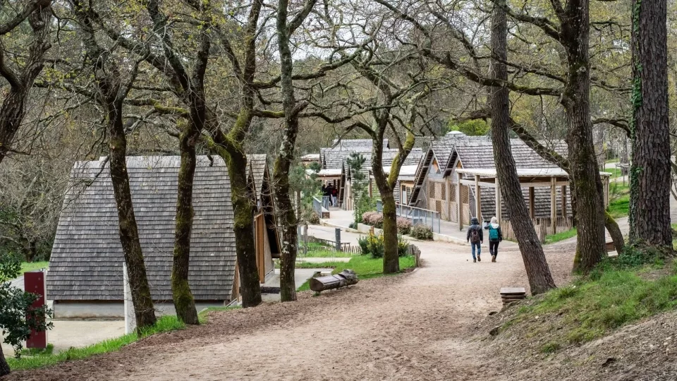 Ford trip, Duna du Pyla