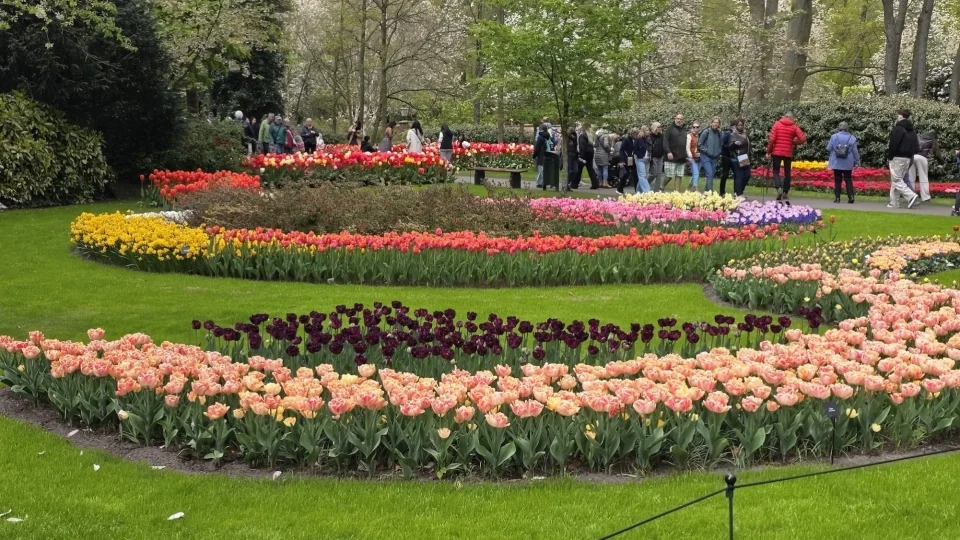 Keukenhof