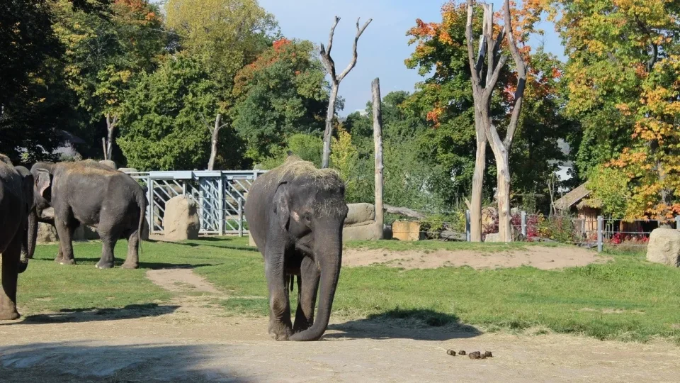 ZOO Praha