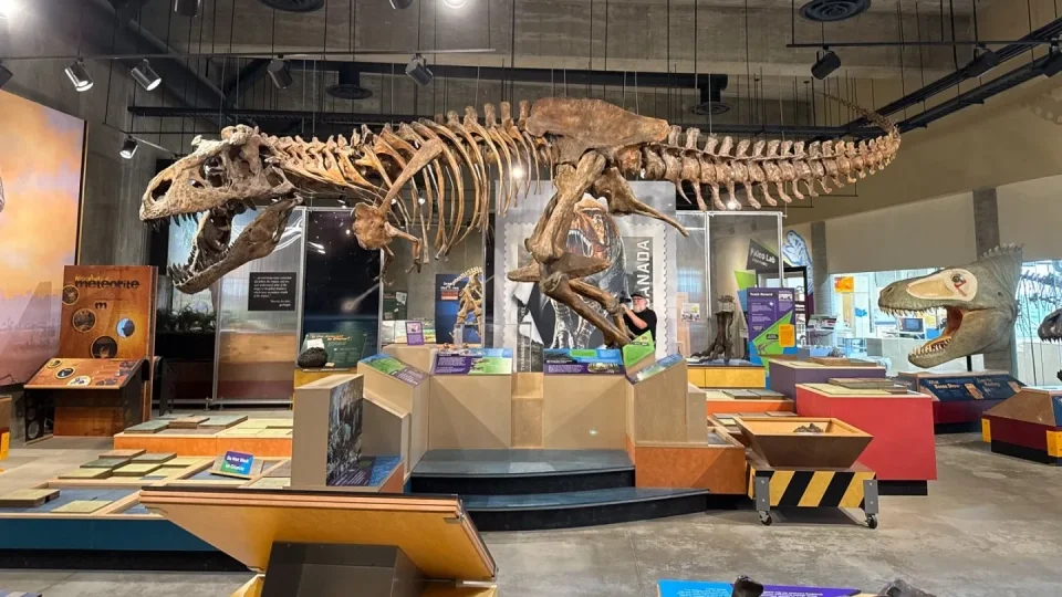 Fotr na tripu 10, dinosauři