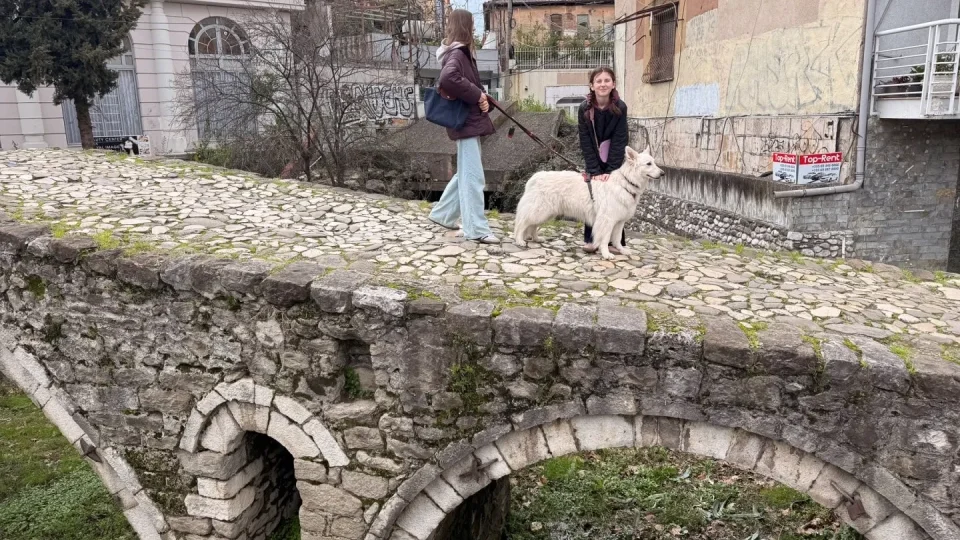 Fotr na tripu 11, Tirana