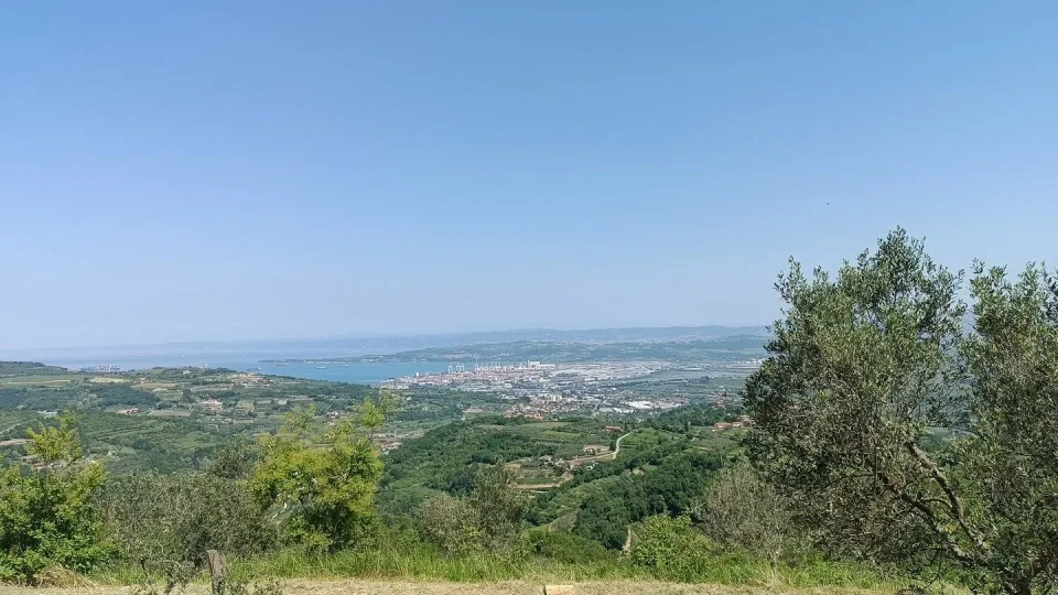Parenzana III
