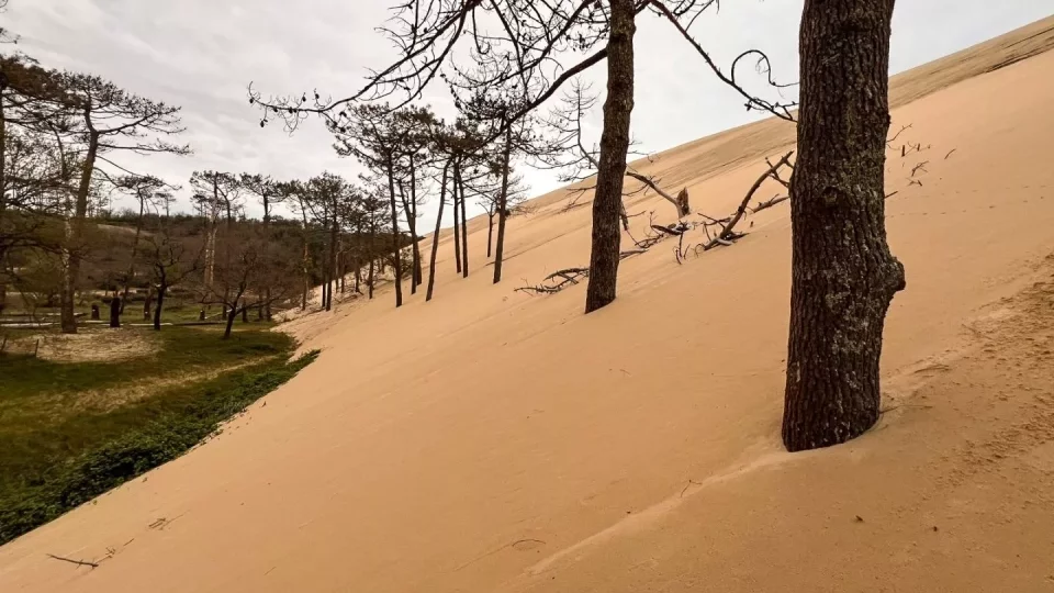 Ford trip, Duna du Pyla