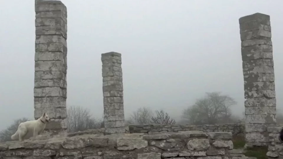 Fotr na tripu 9, Gotland a Stockholm