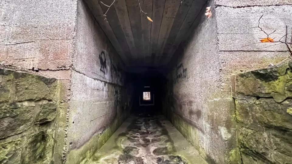 Subaru trip, Baťa, Bunč